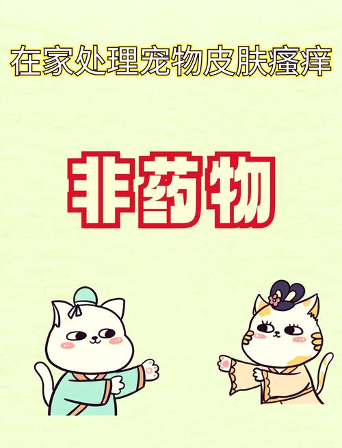 狗狗鼻子溃烂用什么药,狗狗鼻子溃疡怎么治疗?-第2张图片-后鲨宠物 狗狗鼻子溃烂用什么药,狗狗鼻子溃疡怎么治疗?-第2张图片-后鲨宠物