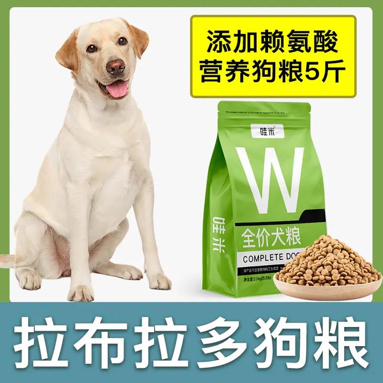 狗狗几个月可以吃狗粮,狗狗几个月可以开始吃成犬粮-第1张图片-后鲨宠物 狗狗几个月可以吃狗粮,狗狗几个月可以开始吃成犬粮-第1张图片-后鲨宠物
