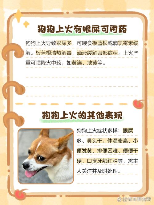 狗狗上火吃什么药,狗狗上火吃什么药降火比较快?-第3张图片-后鲨宠物 狗狗上火吃什么药,狗狗上火吃什么药降火比较快?-第3张图片-后鲨宠物