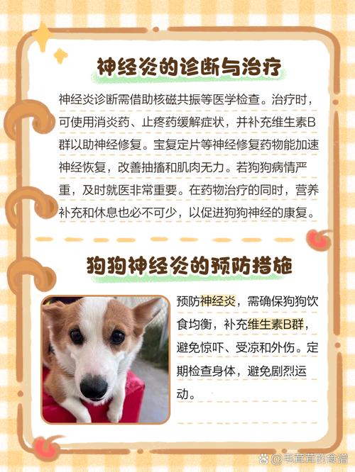 狗狗没精神发抖怎么办_狗狗没精神轻微发抖是否感冒了-第2张图片-后鲨宠物 狗狗没精神发抖怎么办_狗狗没精神轻微发抖是否感冒了-第2张图片-后鲨宠物