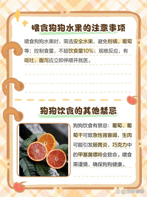 狗狗能吃柚子嘛,狗能吃柚子么?-第3张图片-后鲨宠物 狗狗能吃柚子嘛,狗能吃柚子么?-第3张图片-后鲨宠物