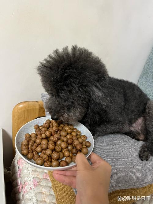 狗狗可以吃新鲜莲子吗,小狗能不能吃莲子?-第5张图片-后鲨宠物 狗狗可以吃新鲜莲子吗,小狗能不能吃莲子?-第5张图片-后鲨宠物
