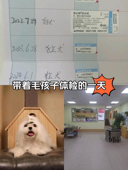 狗狗打疫苗可以推迟吗_狗狗打疫苗推迟一两天行吗-第1张图片-后鲨宠物 狗狗打疫苗可以推迟吗_狗狗打疫苗推迟一两天行吗-第1张图片-后鲨宠物