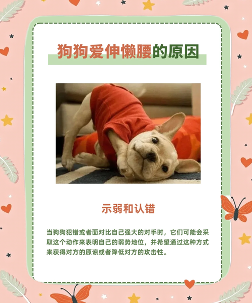 狗狗变懒了是怎么回事,狗狗最近怎么变懒了?-第3张图片-后鲨宠物 狗狗变懒了是怎么回事,狗狗最近怎么变懒了?-第3张图片-后鲨宠物