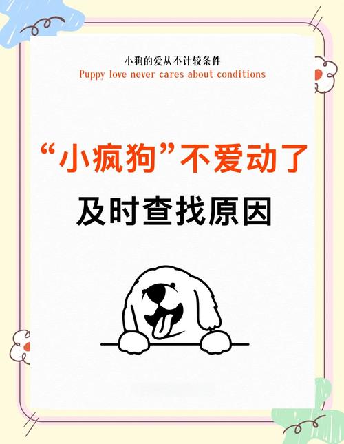 狗狗变懒了是怎么回事,狗狗最近怎么变懒了?-第4张图片-后鲨宠物 狗狗变懒了是怎么回事,狗狗最近怎么变懒了?-第4张图片-后鲨宠物