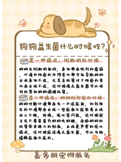 狗狗的益生菌怎么吃_狗狗益生菌片怎么吃-第2张图片-后鲨宠物 狗狗的益生菌怎么吃_狗狗益生菌片怎么吃-第2张图片-后鲨宠物