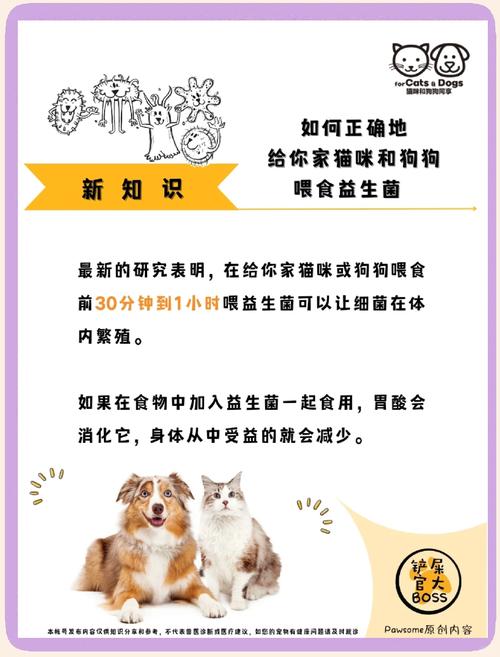 狗狗的益生菌怎么吃_狗狗益生菌片怎么吃-第3张图片-后鲨宠物 狗狗的益生菌怎么吃_狗狗益生菌片怎么吃-第3张图片-后鲨宠物