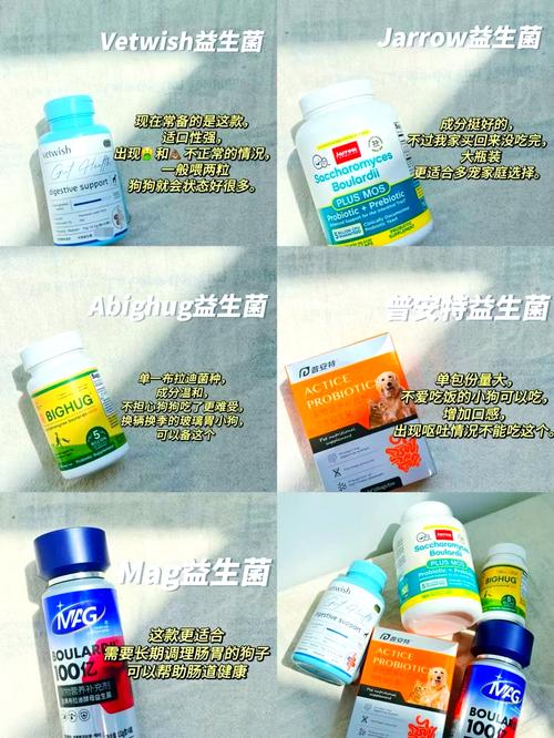 狗狗的益生菌怎么吃_狗狗益生菌片怎么吃-第4张图片-后鲨宠物 狗狗的益生菌怎么吃_狗狗益生菌片怎么吃-第4张图片-后鲨宠物