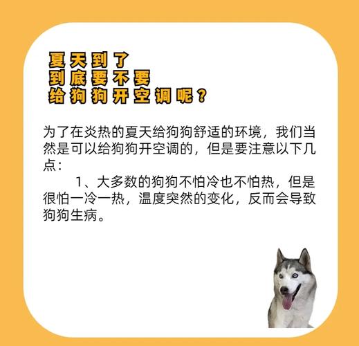 狗狗吹空调要注意什么_狗狗吹空调注意事项-第2张图片-后鲨宠物