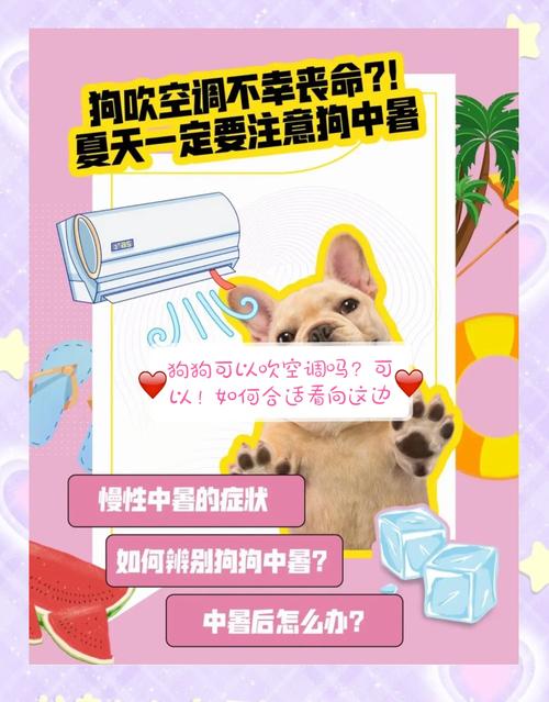 狗狗吹空调要注意什么_狗狗吹空调注意事项-第4张图片-后鲨宠物