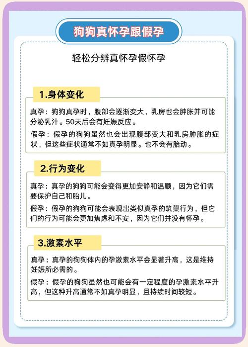 验孕棒狗狗可以用吗,验孕棒狗狗可以用吗有影响吗-第1张图片-后鲨宠物 验孕棒狗狗可以用吗,验孕棒狗狗可以用吗有影响吗-第1张图片-后鲨宠物