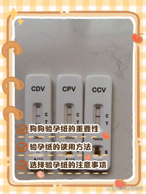 验孕棒狗狗可以用吗,验孕棒狗狗可以用吗有影响吗-第3张图片-后鲨宠物 验孕棒狗狗可以用吗,验孕棒狗狗可以用吗有影响吗-第3张图片-后鲨宠物