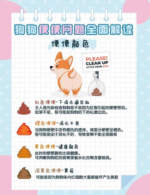 狗狗拉稀屎怎么办_狗狗拉稀便怎么办什么原因-第1张图片-后鲨宠物 狗狗拉稀屎怎么办_狗狗拉稀便怎么办什么原因-第1张图片-后鲨宠物