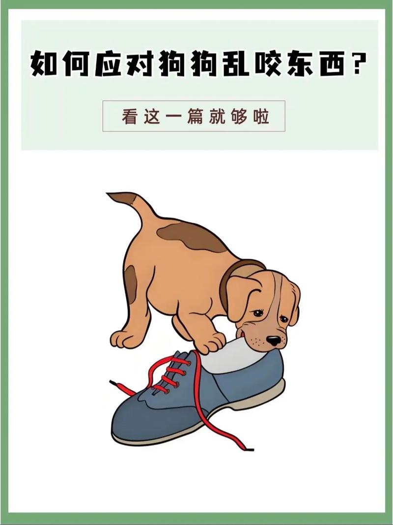 如何让狗狗不乱咬东西,怎么能让狗不乱咬?-第3张图片-后鲨宠物 如何让狗狗不乱咬东西,怎么能让狗不乱咬?-第3张图片-后鲨宠物