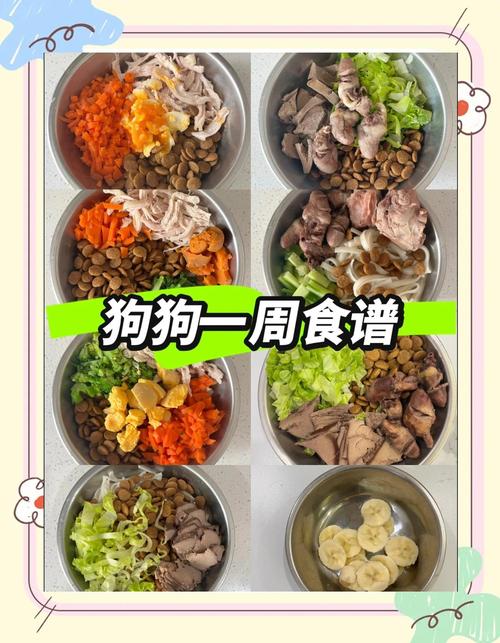 怀孕狗狗食谱大全,怀孕狗狗食谱大全图片-第2张图片-后鲨宠物 怀孕狗狗食谱大全,怀孕狗狗食谱大全图片-第2张图片-后鲨宠物