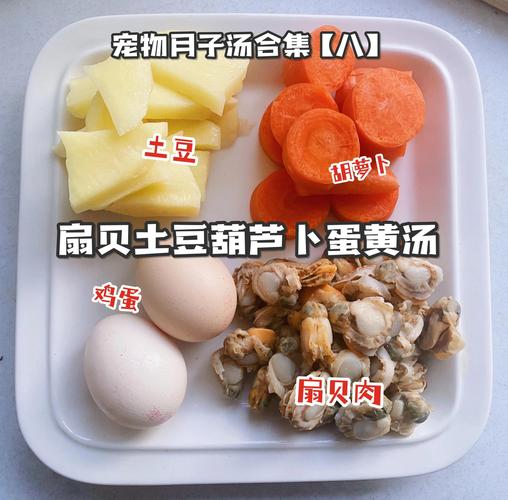 怀孕狗狗食谱大全,怀孕狗狗食谱大全图片-第4张图片-后鲨宠物 怀孕狗狗食谱大全,怀孕狗狗食谱大全图片-第4张图片-后鲨宠物