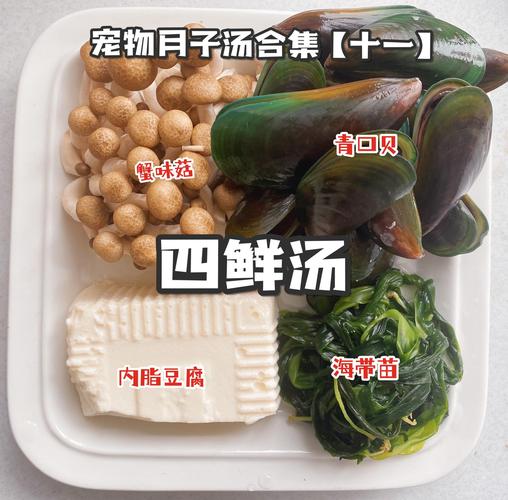 怀孕狗狗食谱大全,怀孕狗狗食谱大全图片-第5张图片-后鲨宠物 怀孕狗狗食谱大全,怀孕狗狗食谱大全图片-第5张图片-后鲨宠物