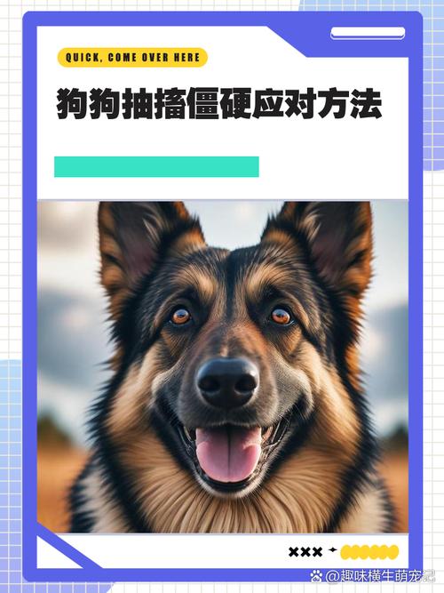  狗狗抽筋怎么办，狗狗抽筋的时候怎么办-第2张图片-后鲨宠物
