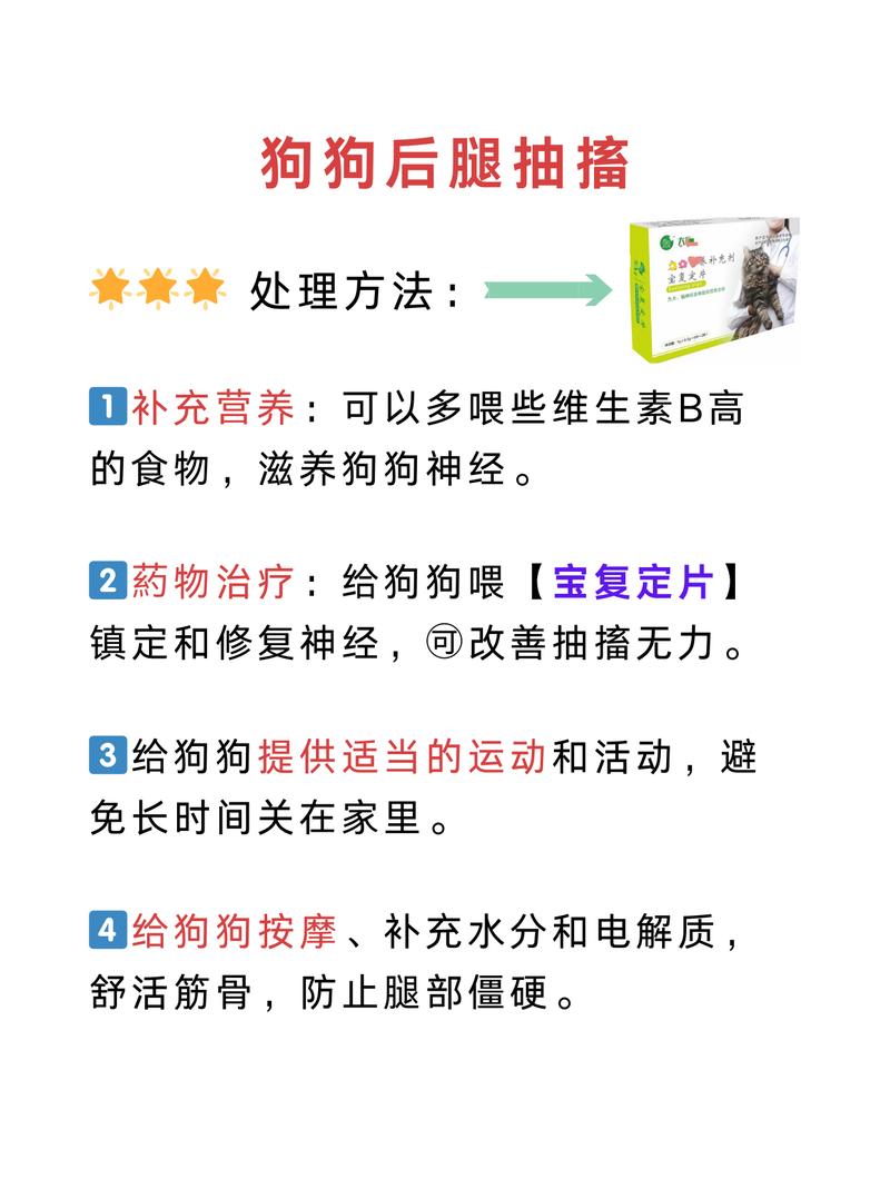  狗狗抽筋怎么办，狗狗抽筋的时候怎么办-第5张图片-后鲨宠物