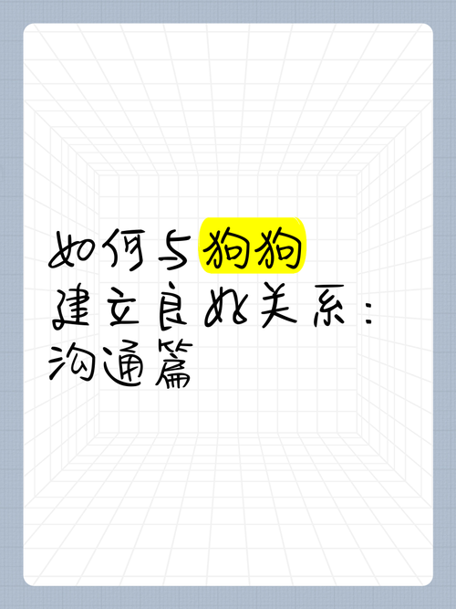 怎么与狗狗建立信任,怎么和狗狗培养信任-第6张图片-后鲨宠物 怎么与狗狗建立信任,怎么和狗狗培养信任-第6张图片-后鲨宠物