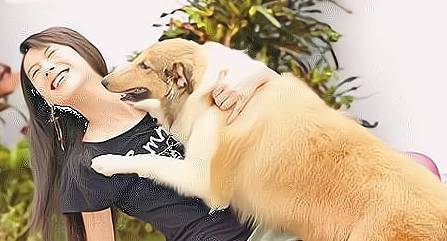 狗狗几个月开始发情_发了情的狗狗怎么处理-第2张图片-后鲨宠物 狗狗几个月开始发情_发了情的狗狗怎么处理-第2张图片-后鲨宠物