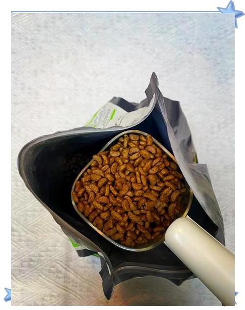 狗狗多大吃狗粮不用泡_狗狗多大吃狗粮不需要泡软了-第2张图片-后鲨宠物 狗狗多大吃狗粮不用泡_狗狗多大吃狗粮不需要泡软了-第2张图片-后鲨宠物