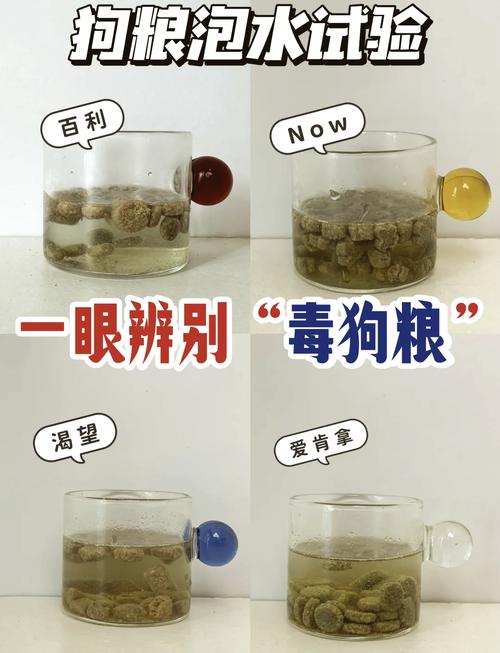 狗狗多大吃狗粮不用泡_狗狗多大吃狗粮不需要泡软了-第5张图片-后鲨宠物 狗狗多大吃狗粮不用泡_狗狗多大吃狗粮不需要泡软了-第5张图片-后鲨宠物