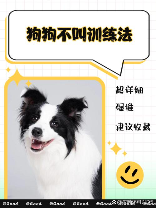 怎样不让狗狗乱叫_怎样不让狗狗乱叫声-第3张图片-后鲨宠物 怎样不让狗狗乱叫_怎样不让狗狗乱叫声-第3张图片-后鲨宠物