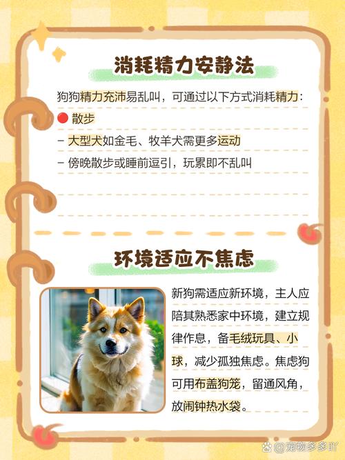 怎样不让狗狗乱叫_怎样不让狗狗乱叫声-第4张图片-后鲨宠物 怎样不让狗狗乱叫_怎样不让狗狗乱叫声-第4张图片-后鲨宠物