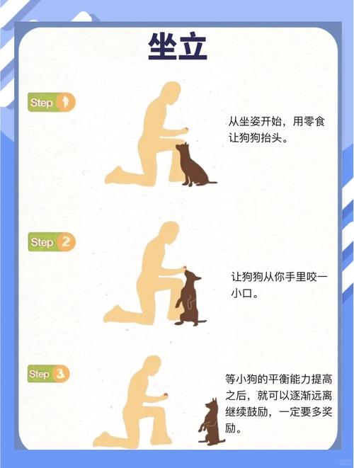 怎么训练狗狗捡球,训练狗狗捡球视频?-第4张图片-后鲨宠物 怎么训练狗狗捡球,训练狗狗捡球视频?-第4张图片-后鲨宠物