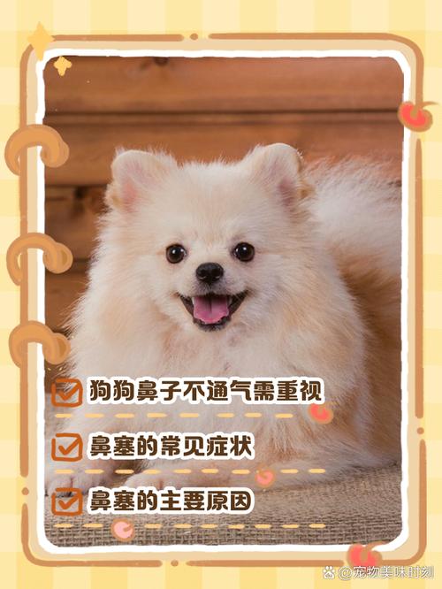 狗狗鼻子堵塞怎么办_狗狗鼻子堵了怎么回事-第1张图片-后鲨宠物 狗狗鼻子堵塞怎么办_狗狗鼻子堵了怎么回事-第1张图片-后鲨宠物