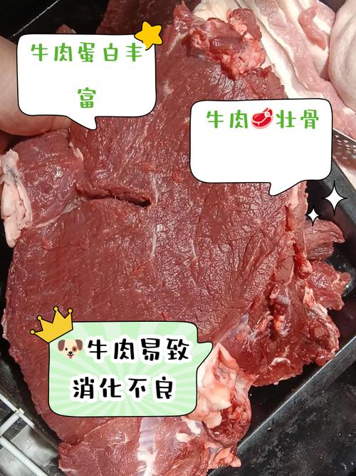狗狗可以吃生牛肉吗,狗狗能吃生牛肉末吗-第3张图片-后鲨宠物 狗狗可以吃生牛肉吗,狗狗能吃生牛肉末吗-第3张图片-后鲨宠物
