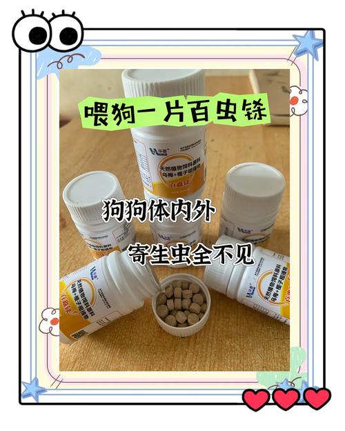  狗狗怀孕可以驱虫吗，一招看出狗狗怀孕