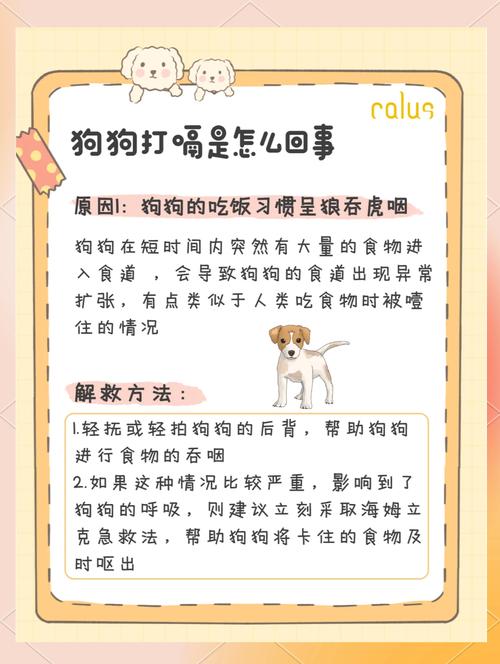 狗狗老打嗝怎么回事啊,狗狗老打嗝怎么回事啊怎么治疗-第1张图片-后鲨宠物 狗狗老打嗝怎么回事啊,狗狗老打嗝怎么回事啊怎么治疗-第1张图片-后鲨宠物