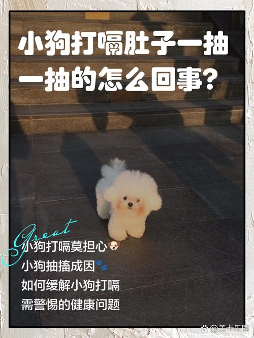 狗狗老打嗝怎么回事啊,狗狗老打嗝怎么回事啊怎么治疗-第2张图片-后鲨宠物 狗狗老打嗝怎么回事啊,狗狗老打嗝怎么回事啊怎么治疗-第2张图片-后鲨宠物