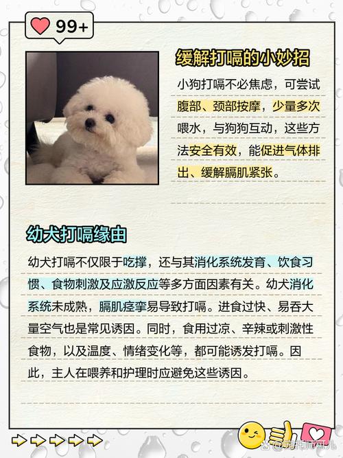 狗狗老打嗝怎么回事啊,狗狗老打嗝怎么回事啊怎么治疗-第3张图片-后鲨宠物 狗狗老打嗝怎么回事啊,狗狗老打嗝怎么回事啊怎么治疗-第3张图片-后鲨宠物