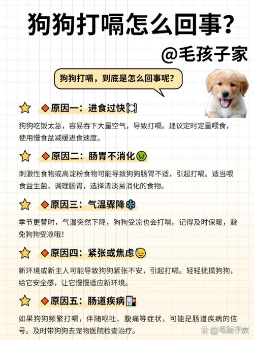 狗狗老打嗝怎么回事啊,狗狗老打嗝怎么回事啊怎么治疗-第5张图片-后鲨宠物 狗狗老打嗝怎么回事啊,狗狗老打嗝怎么回事啊怎么治疗-第5张图片-后鲨宠物