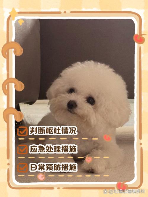  怎么让狗狗吐出来，怎么可以让狗狗吐