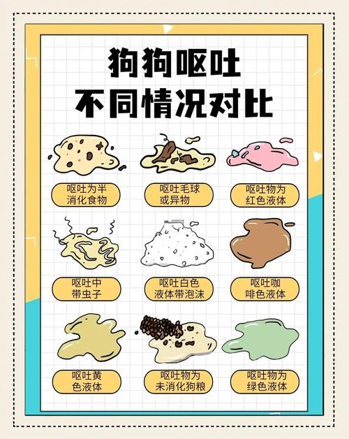 怎么让狗狗吐出来,怎么可以让狗狗吐-第2张图片-后鲨宠物 怎么让狗狗吐出来,怎么可以让狗狗吐-第2张图片-后鲨宠物