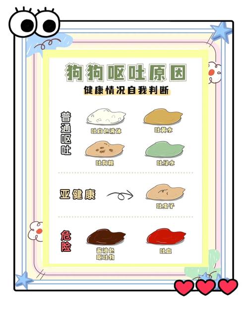 怎么让狗狗吐出来,怎么可以让狗狗吐-第6张图片-后鲨宠物 怎么让狗狗吐出来,怎么可以让狗狗吐-第6张图片-后鲨宠物