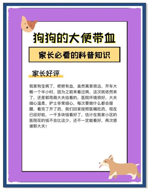 狗狗便中带血怎么回事_狗狗便中带血是什么原因-第2张图片-后鲨宠物 狗狗便中带血怎么回事_狗狗便中带血是什么原因-第2张图片-后鲨宠物