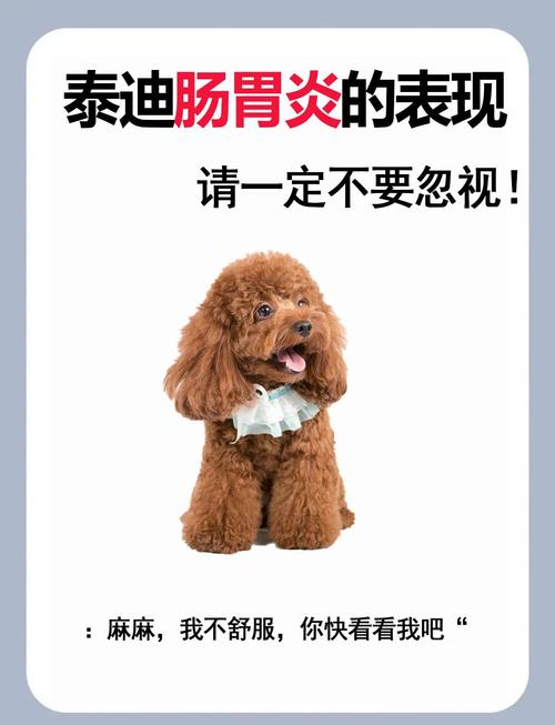 狗狗打嗝臭怎么回事,狗一打嗝一股子臭味?-第5张图片-后鲨宠物 狗狗打嗝臭怎么回事,狗一打嗝一股子臭味?-第5张图片-后鲨宠物