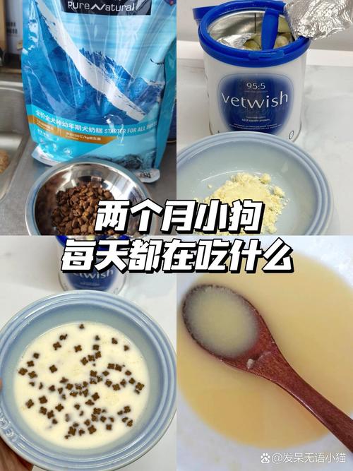 一两个月的狗狗吃什么,一两个月的狗应该吃什么-第1张图片-后鲨宠物 一两个月的狗狗吃什么,一两个月的狗应该吃什么-第1张图片-后鲨宠物