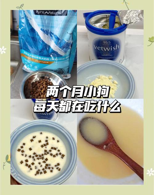 一两个月的狗狗吃什么,一两个月的狗应该吃什么-第2张图片-后鲨宠物 一两个月的狗狗吃什么,一两个月的狗应该吃什么-第2张图片-后鲨宠物