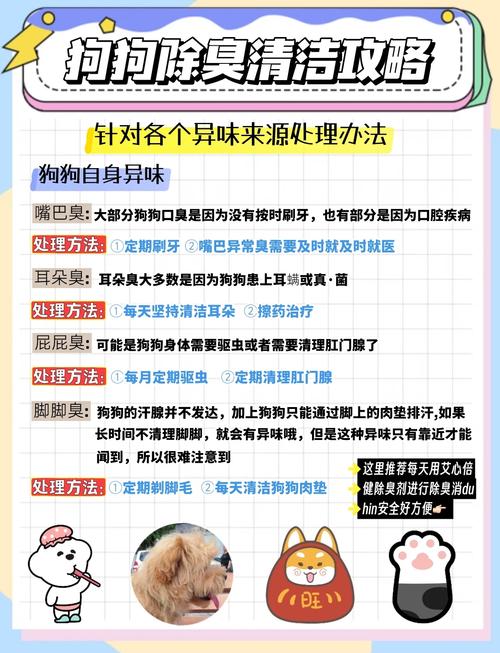 狗狗脚臭怎么办,狗狗脚臭怎么办该怎样消除-第2张图片-后鲨宠物 狗狗脚臭怎么办,狗狗脚臭怎么办该怎样消除-第2张图片-后鲨宠物