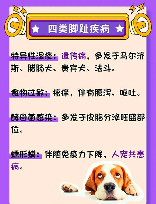 狗狗脚臭怎么办,狗狗脚臭怎么办该怎样消除-第4张图片-后鲨宠物 狗狗脚臭怎么办,狗狗脚臭怎么办该怎样消除-第4张图片-后鲨宠物