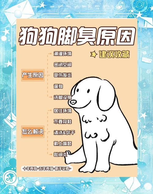 狗狗脚臭怎么办,狗狗脚臭怎么办该怎样消除-第5张图片-后鲨宠物 狗狗脚臭怎么办,狗狗脚臭怎么办该怎样消除-第5张图片-后鲨宠物