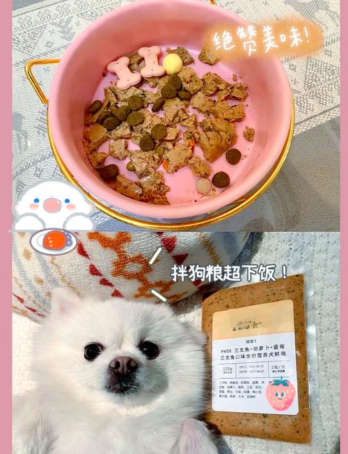  狗狗可以吃黑米吗，狗狗可以吃黑米嘛