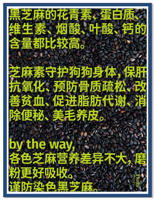 狗狗可以吃黑米吗,狗狗可以吃黑米嘛-第3张图片-后鲨宠物 狗狗可以吃黑米吗,狗狗可以吃黑米嘛-第3张图片-后鲨宠物