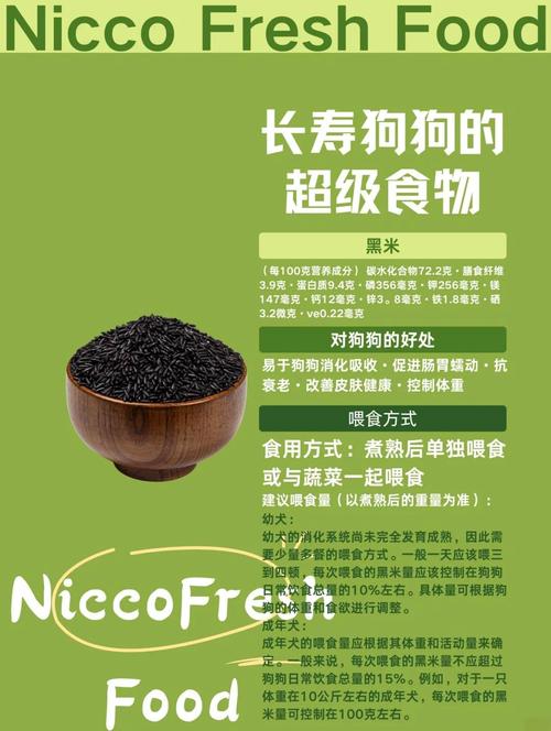 狗狗可以吃黑米吗,狗狗可以吃黑米嘛-第4张图片-后鲨宠物 狗狗可以吃黑米吗,狗狗可以吃黑米嘛-第4张图片-后鲨宠物